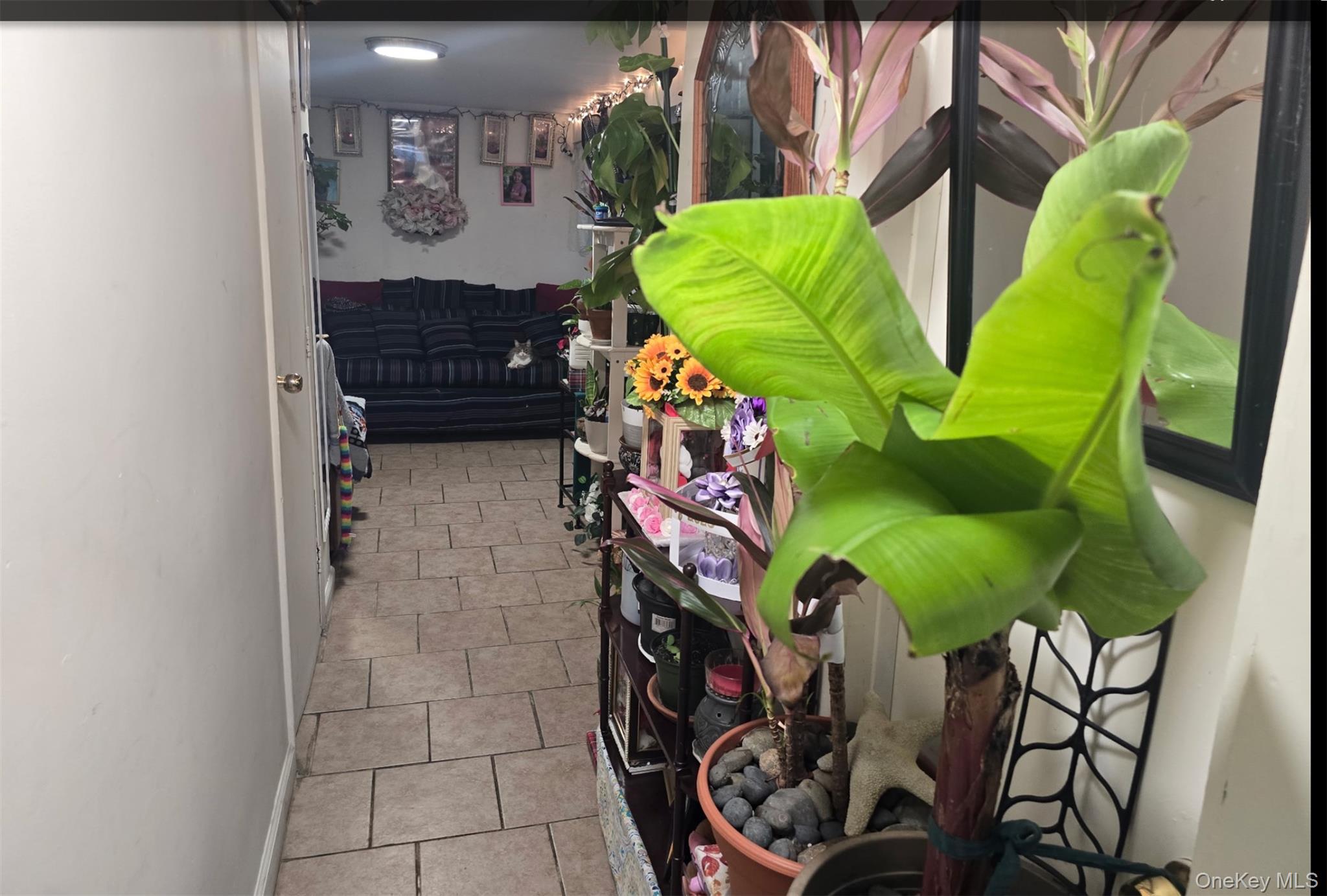 5 Campion Street Property Photo 5