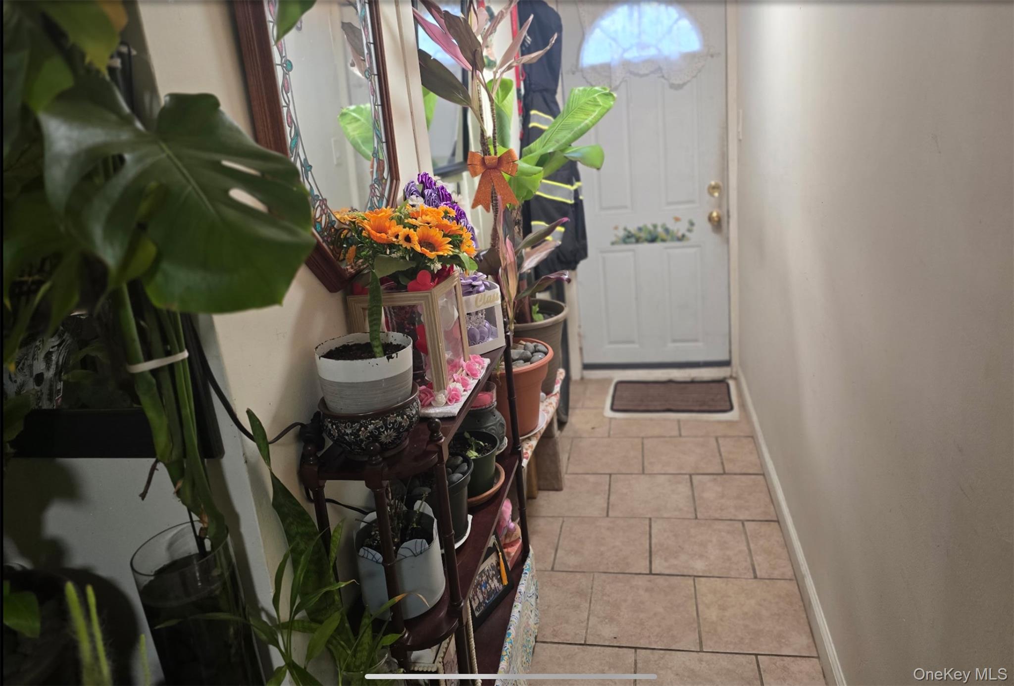 5 Campion Street Property Photo 9