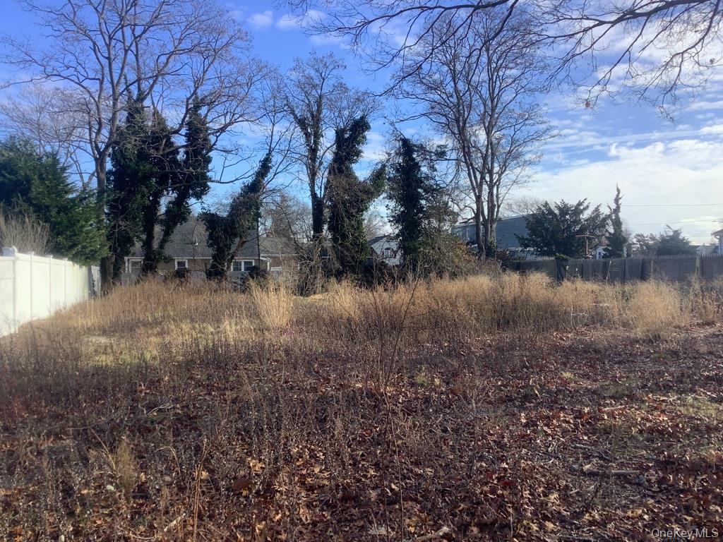 201 Phyllis Drive Property Photo 1