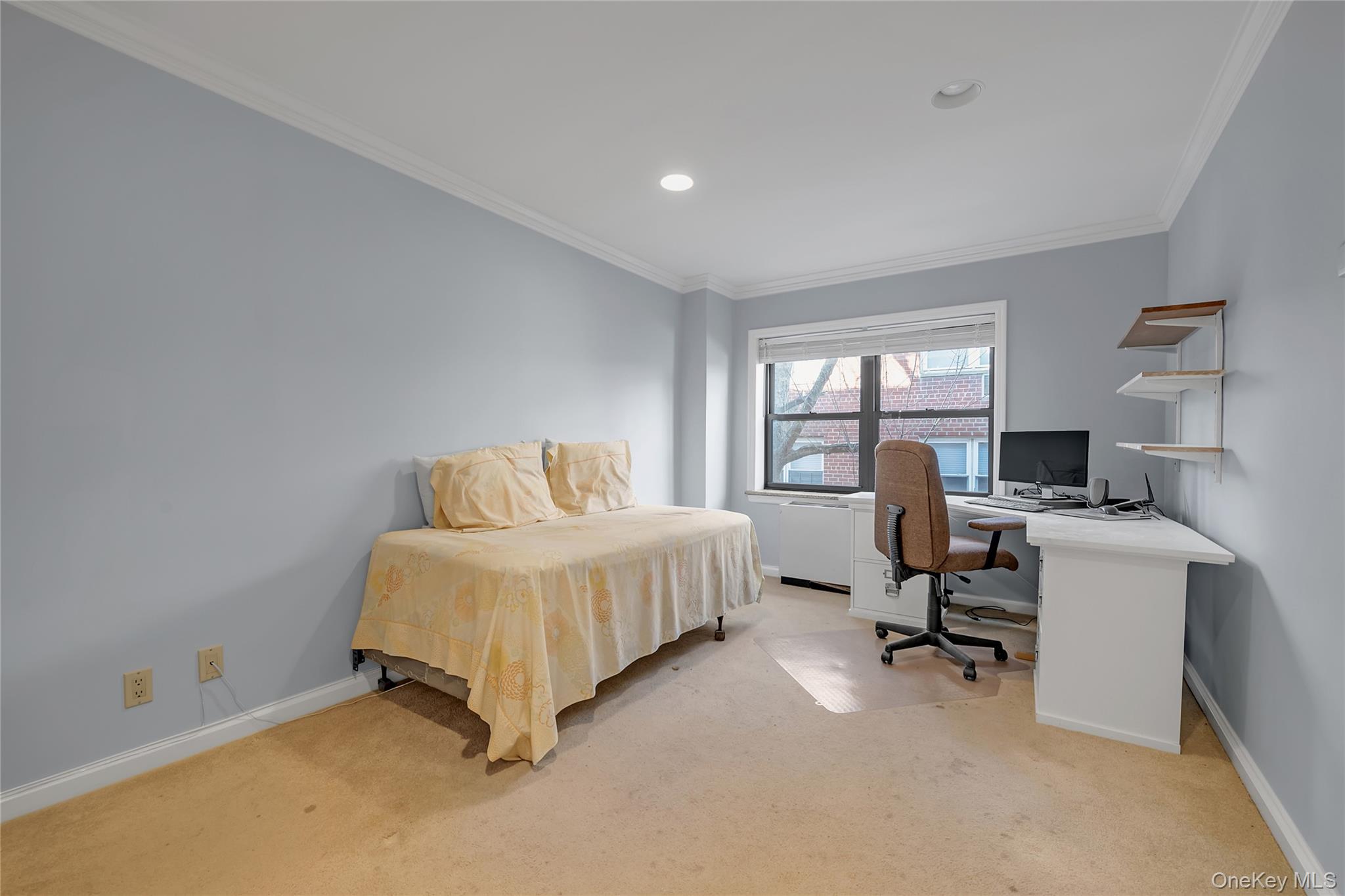 20 Canterbury Road 2c Property Photo 13
