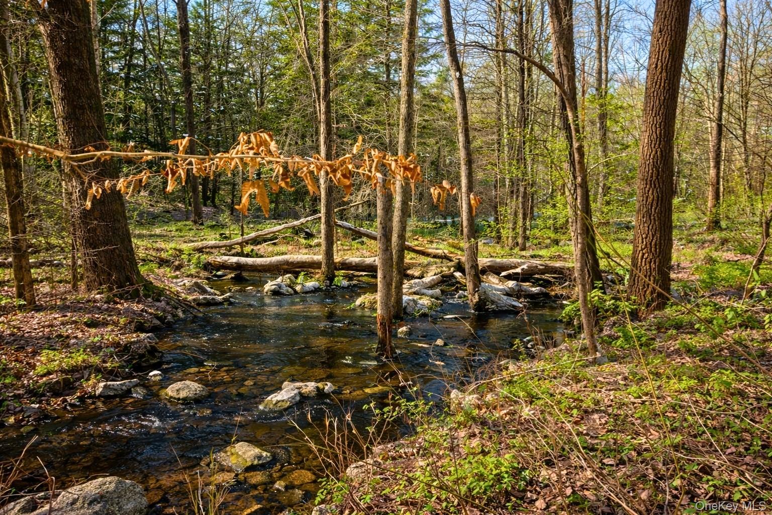 40 Potic Creek Road Property Photo 6