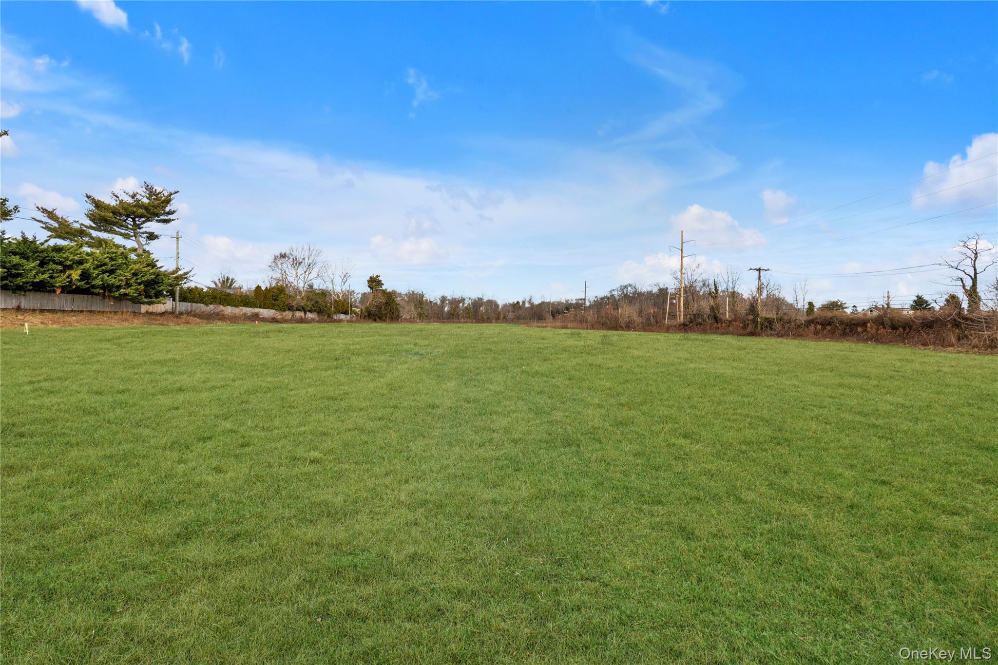 954864 Property Photo 8