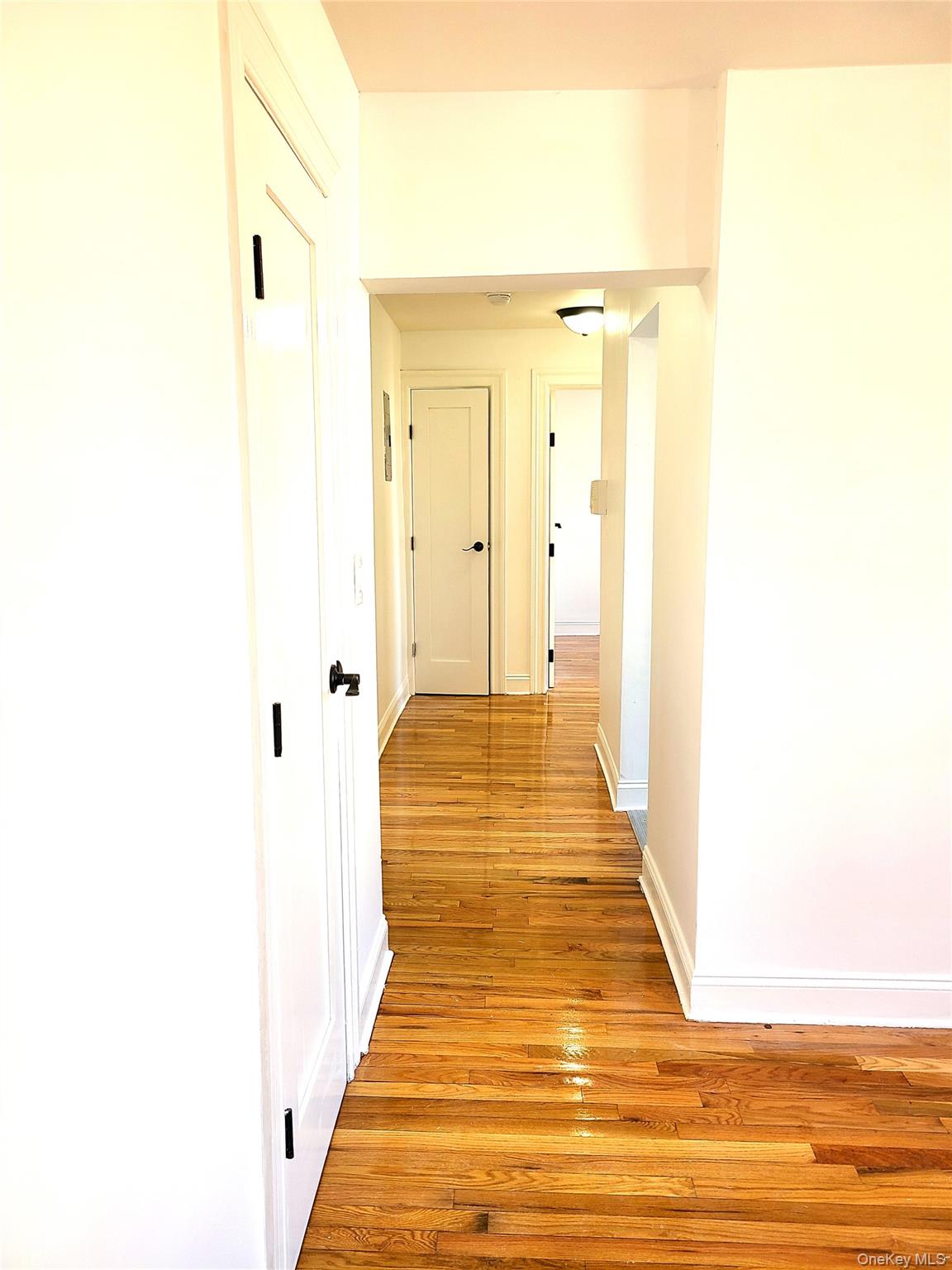 36 W 138th Street 52 Property Photo 4