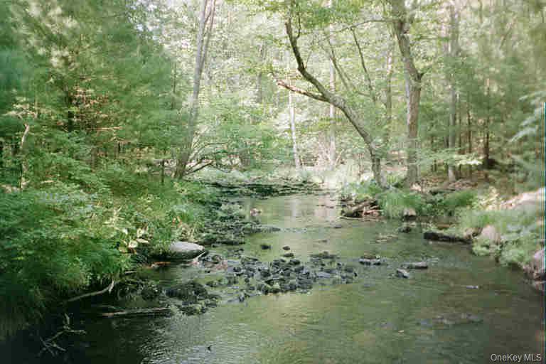 Lot 59.2 Lower Lumber Road Property Photo 1