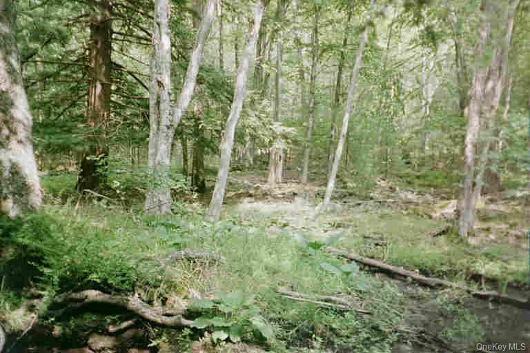 Lot 59.2 Lower Lumber Road Property Photo 2
