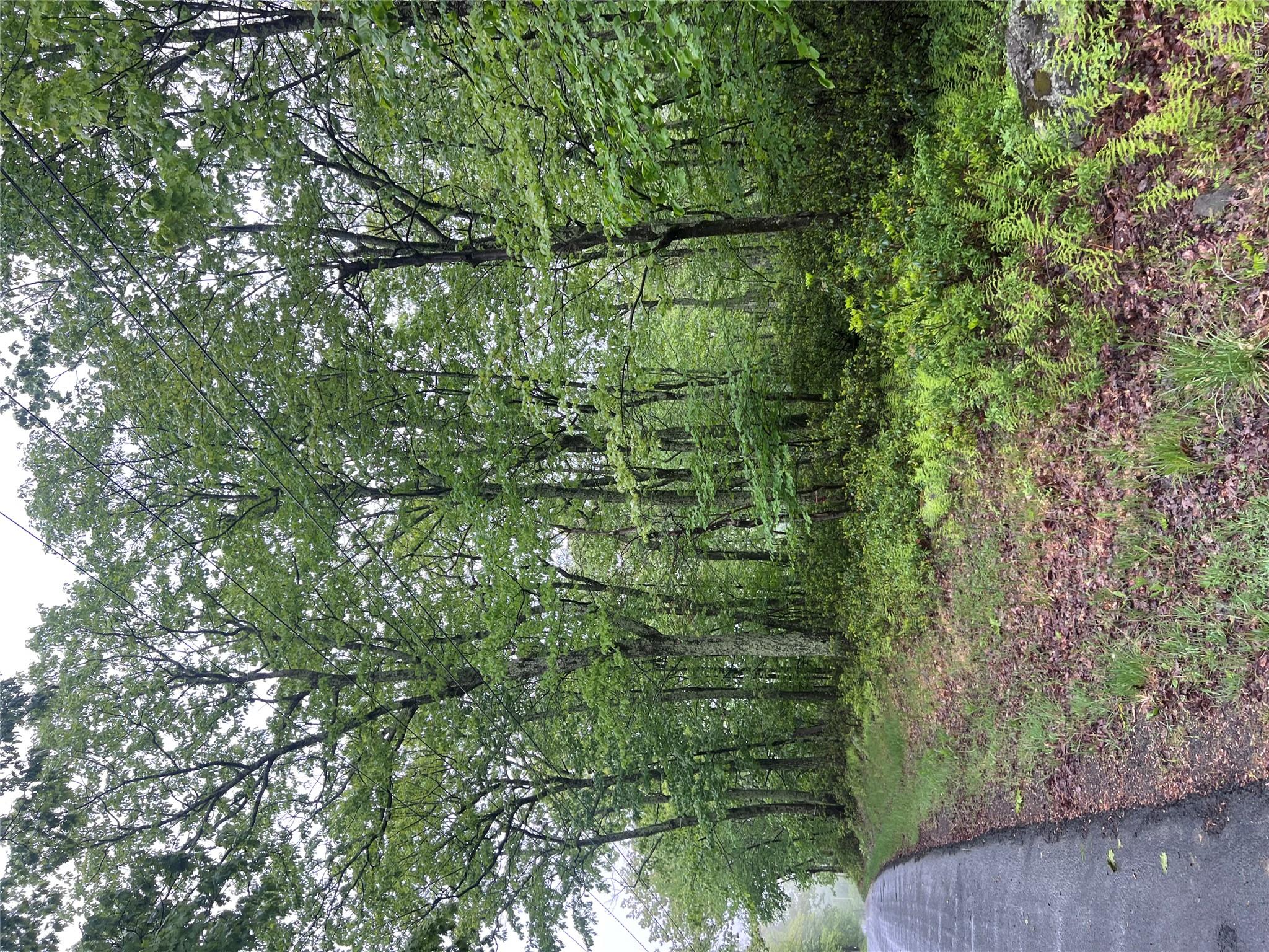 Budd Road Property Photo 2