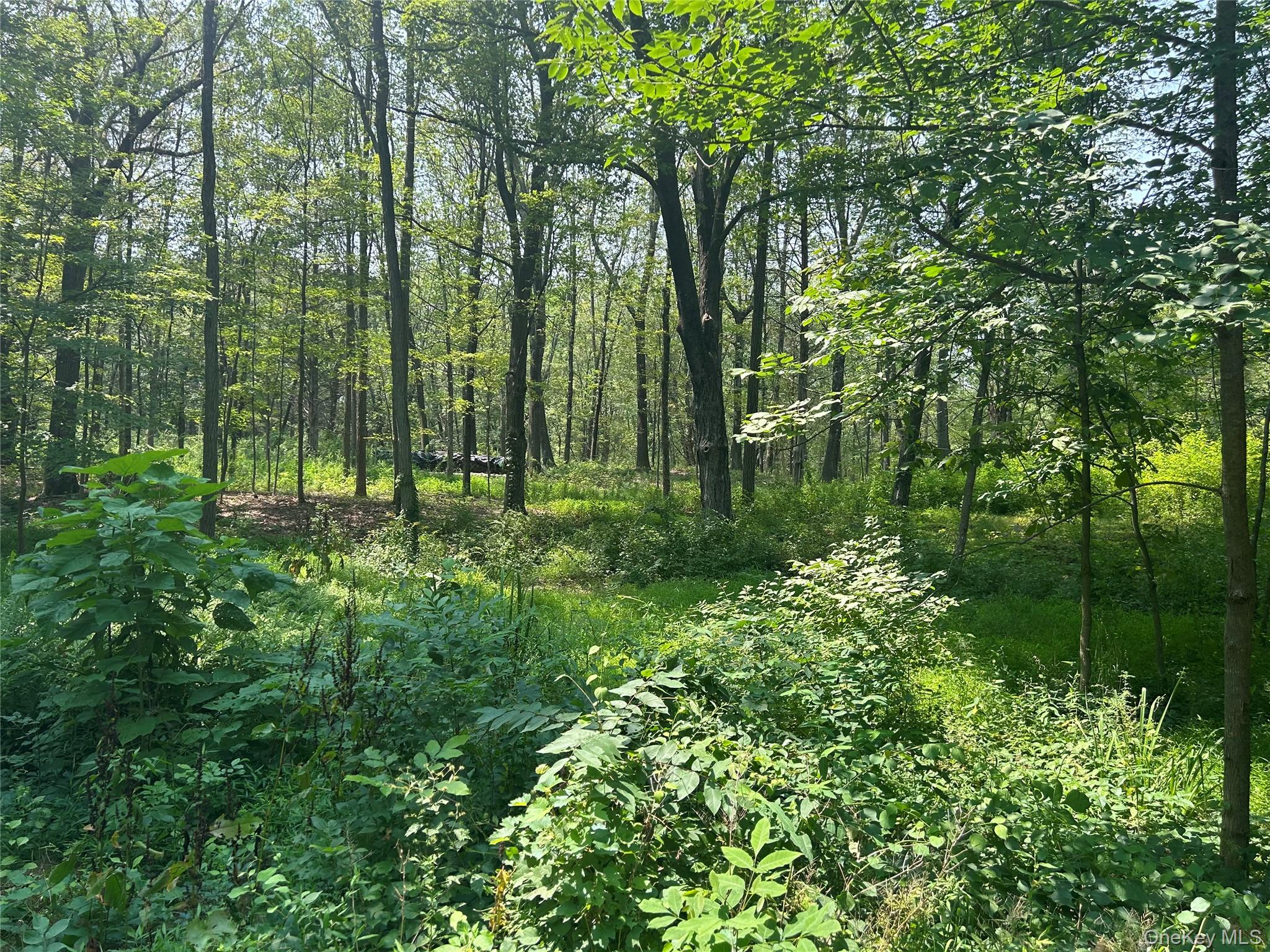 White Schoolhouse Road Property Photo 2