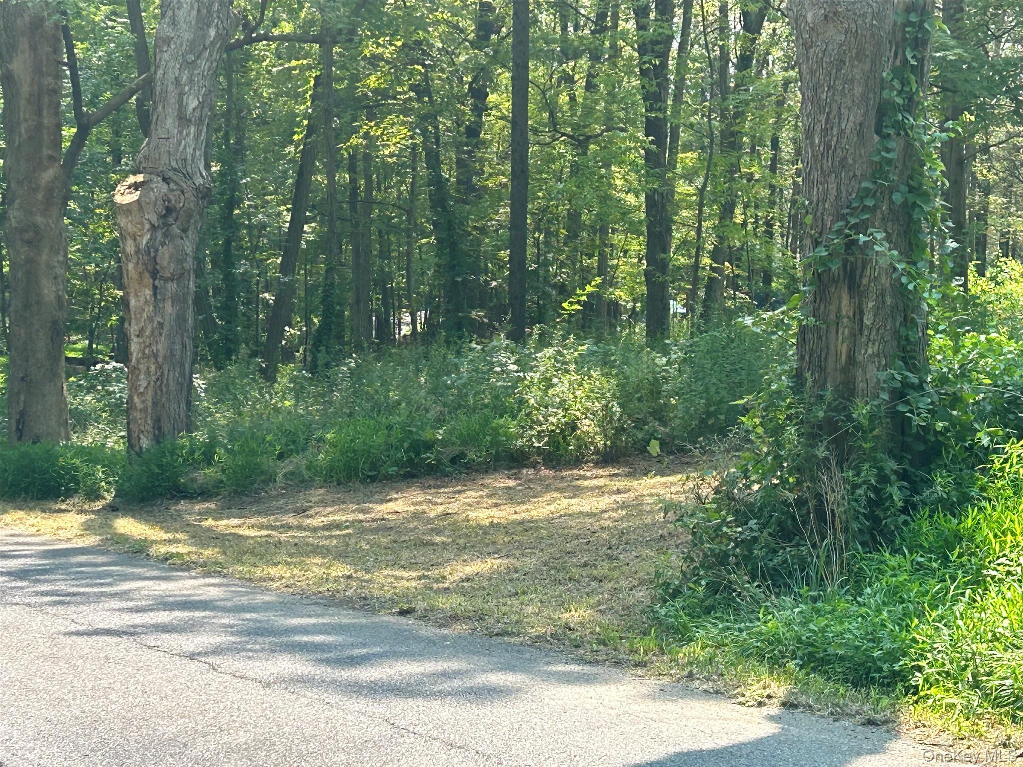 White Schoolhouse Road Property Photo 5