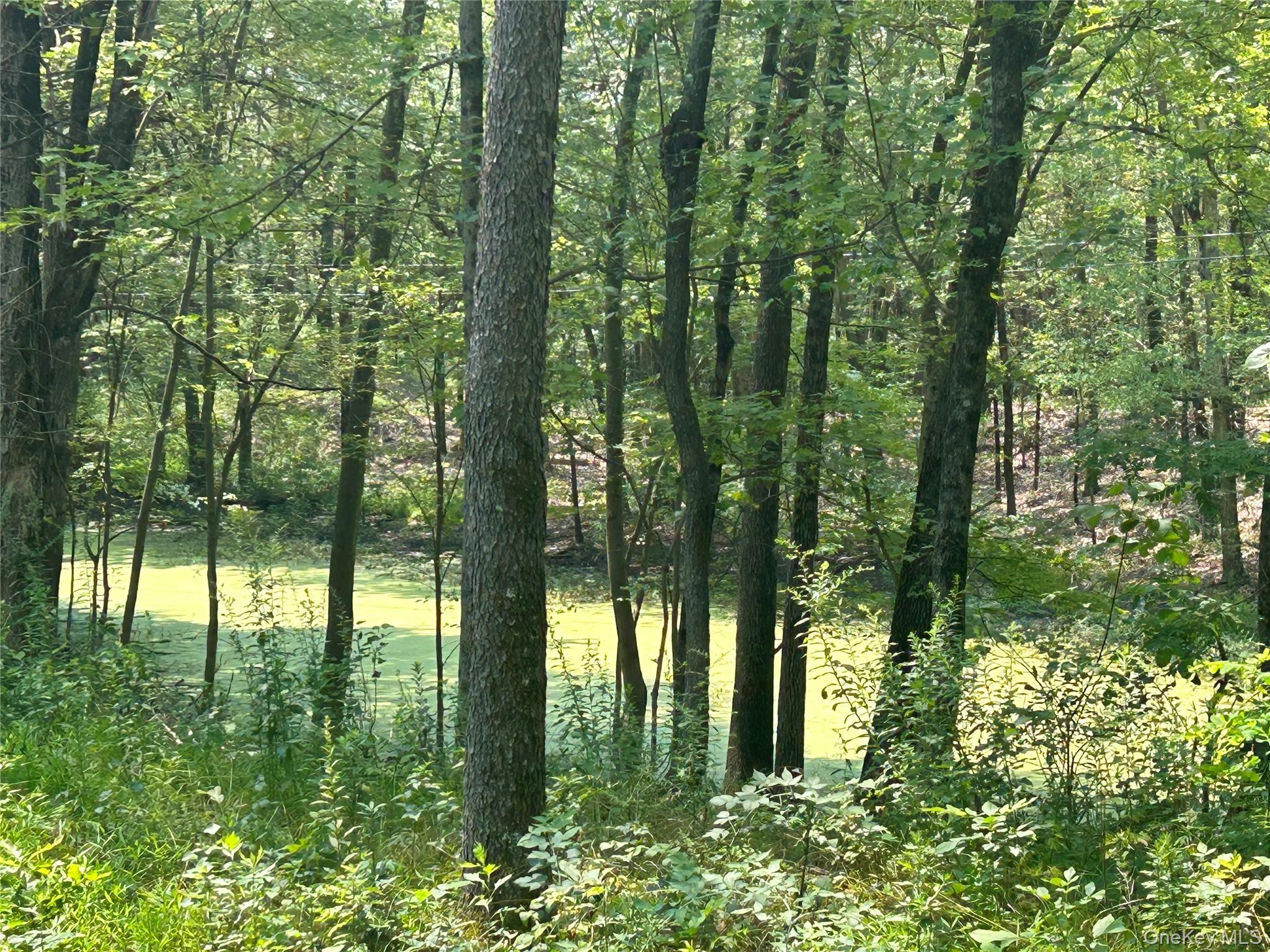 White Schoolhouse Road Property Photo 9