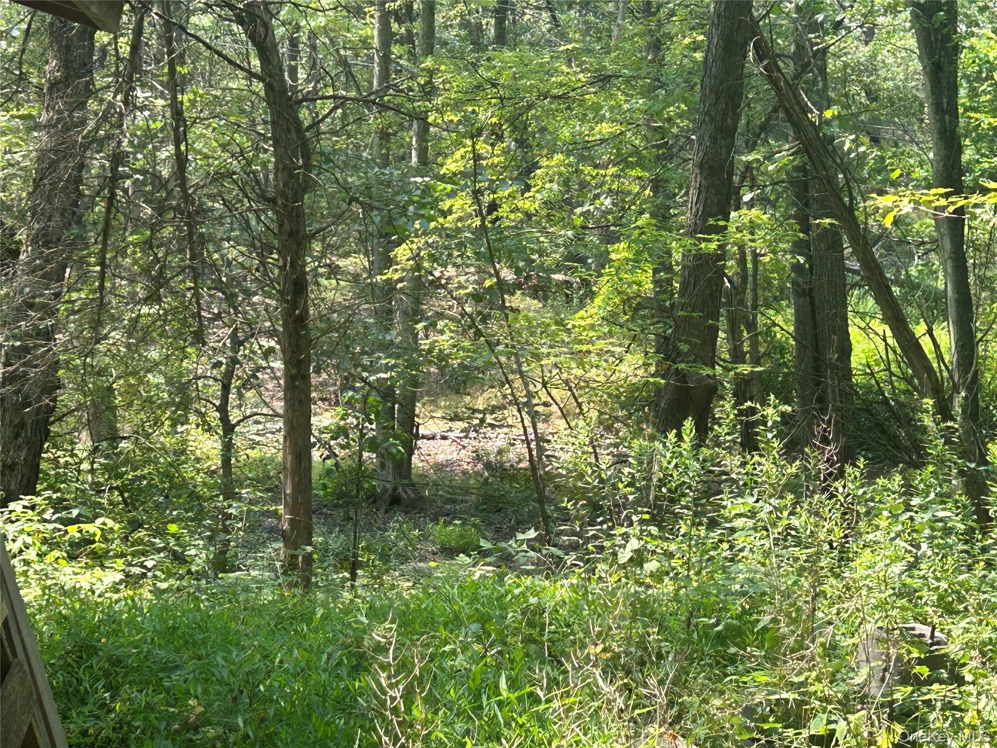 White Schoolhouse Road Property Photo 10