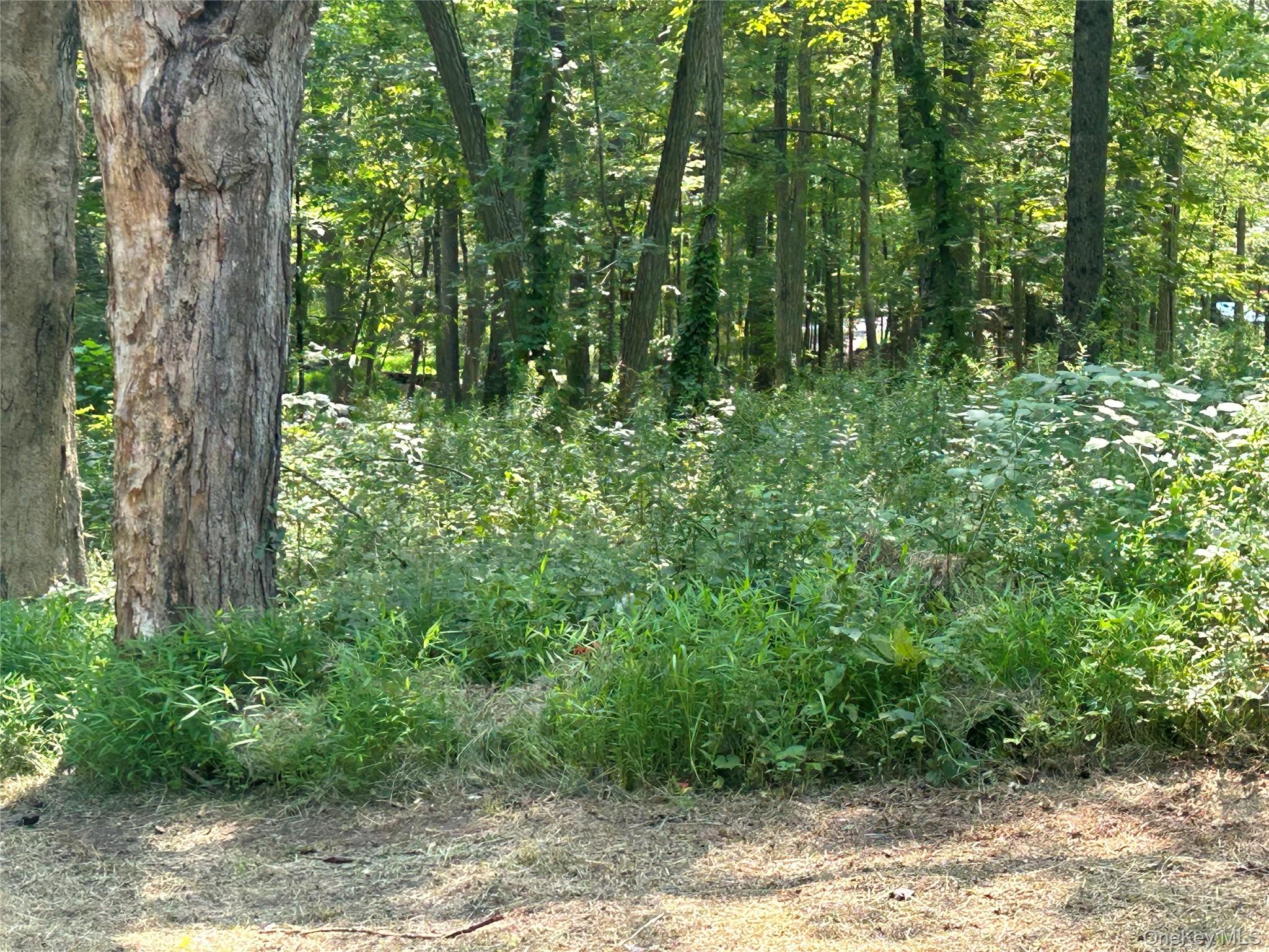 White Schoolhouse Road Property Photo 12