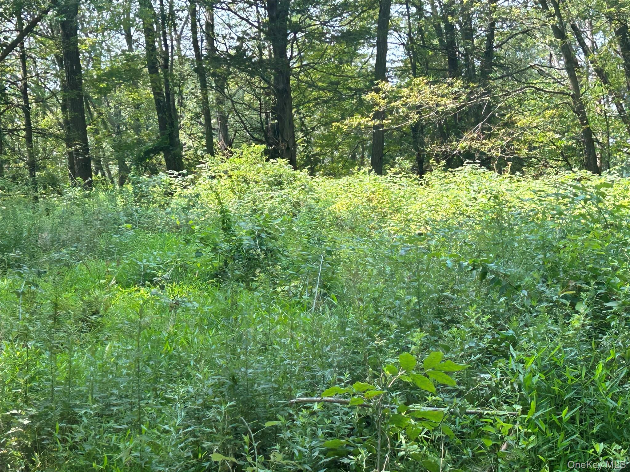 White Schoolhouse Road Property Photo 13