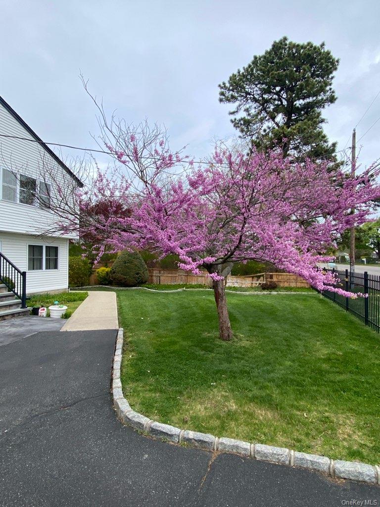 55 Parkway Avenue Property Photo 4