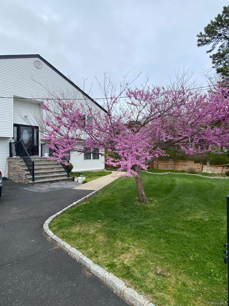 55 Parkway Avenue Property Photo 5