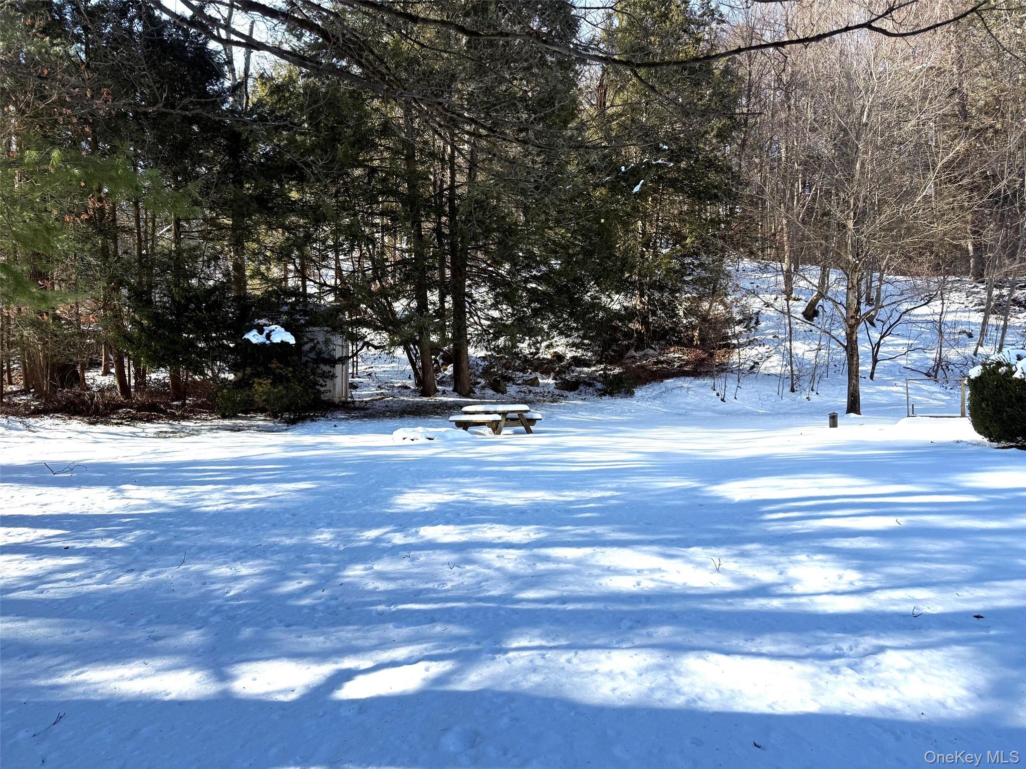 3481 Route 22 Property Photo 19