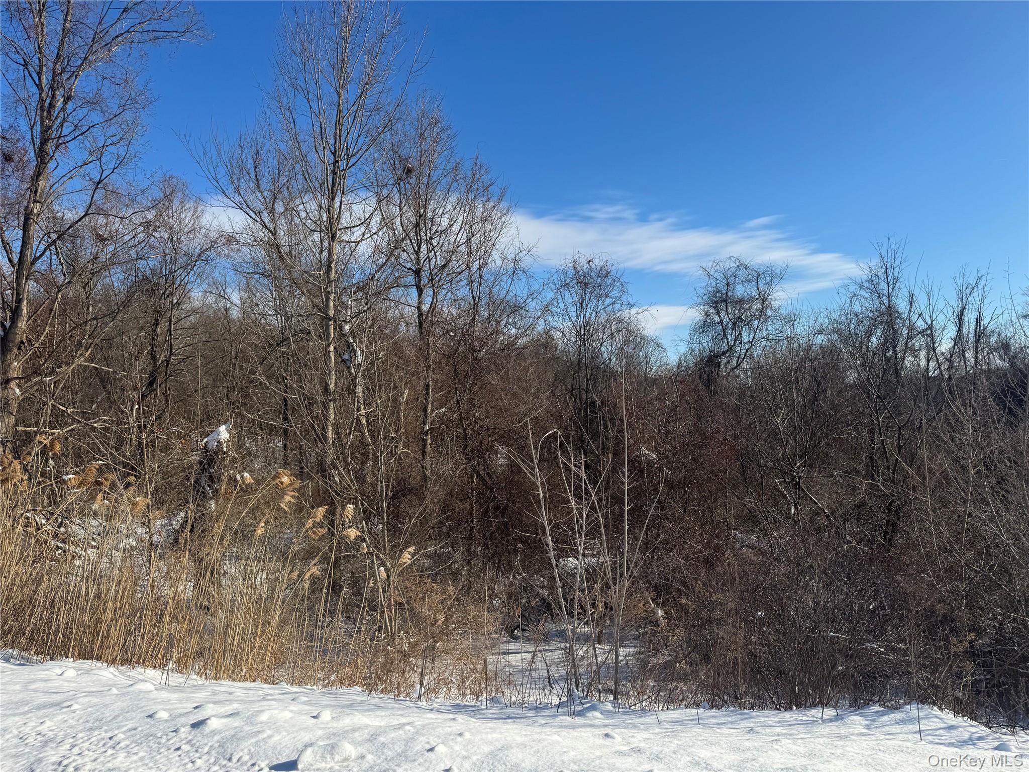 2310 Route 22 Property Photo 10