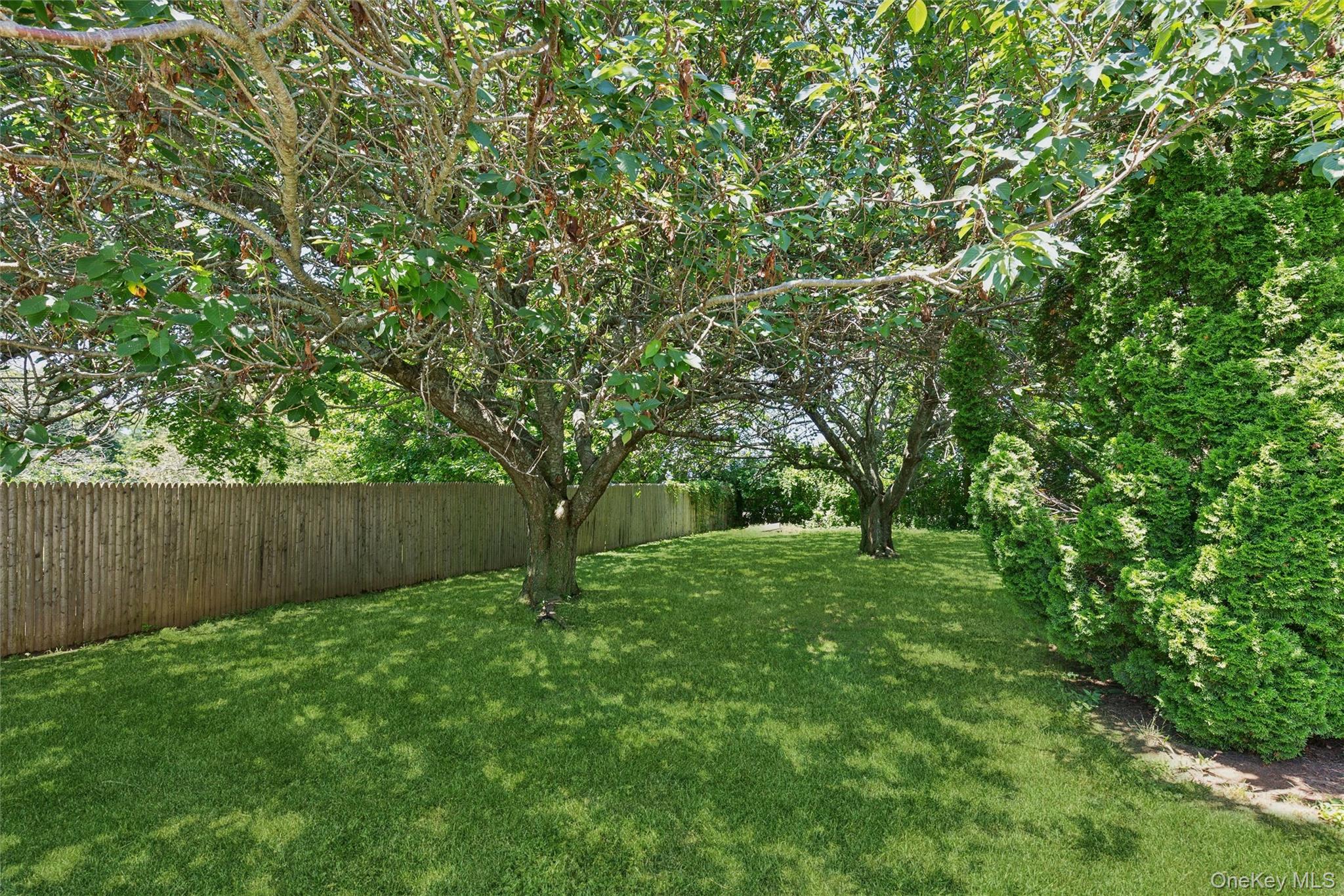 6205 Alvahs Lane Property Photo 19