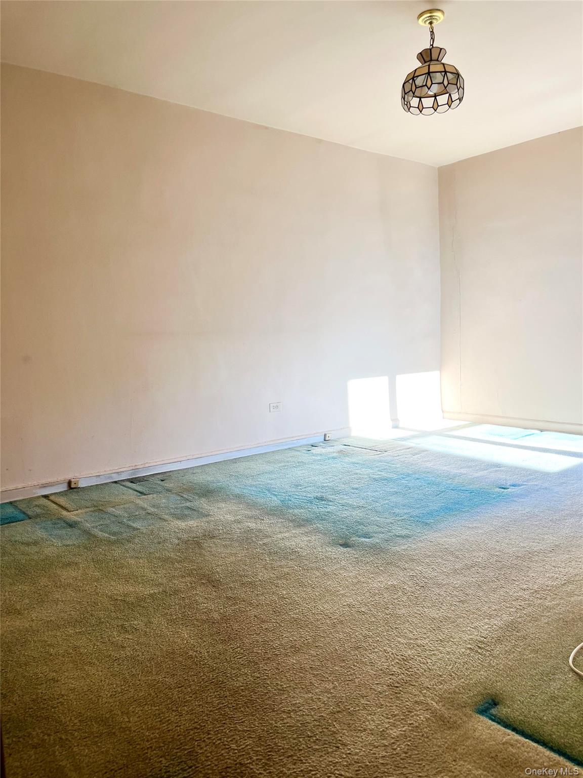 139-15 83rd Avenue 431 Property Photo 11