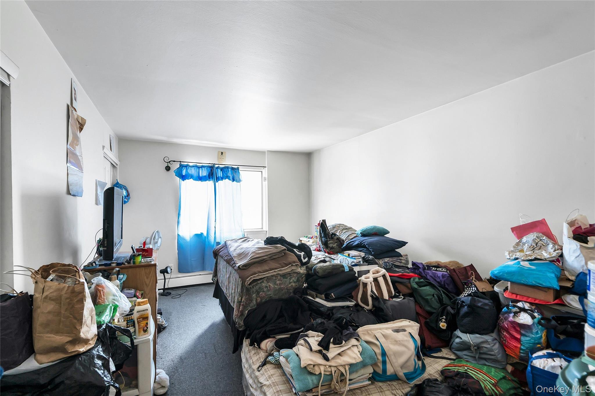 263 River Avenue 16au Property Photo 5
