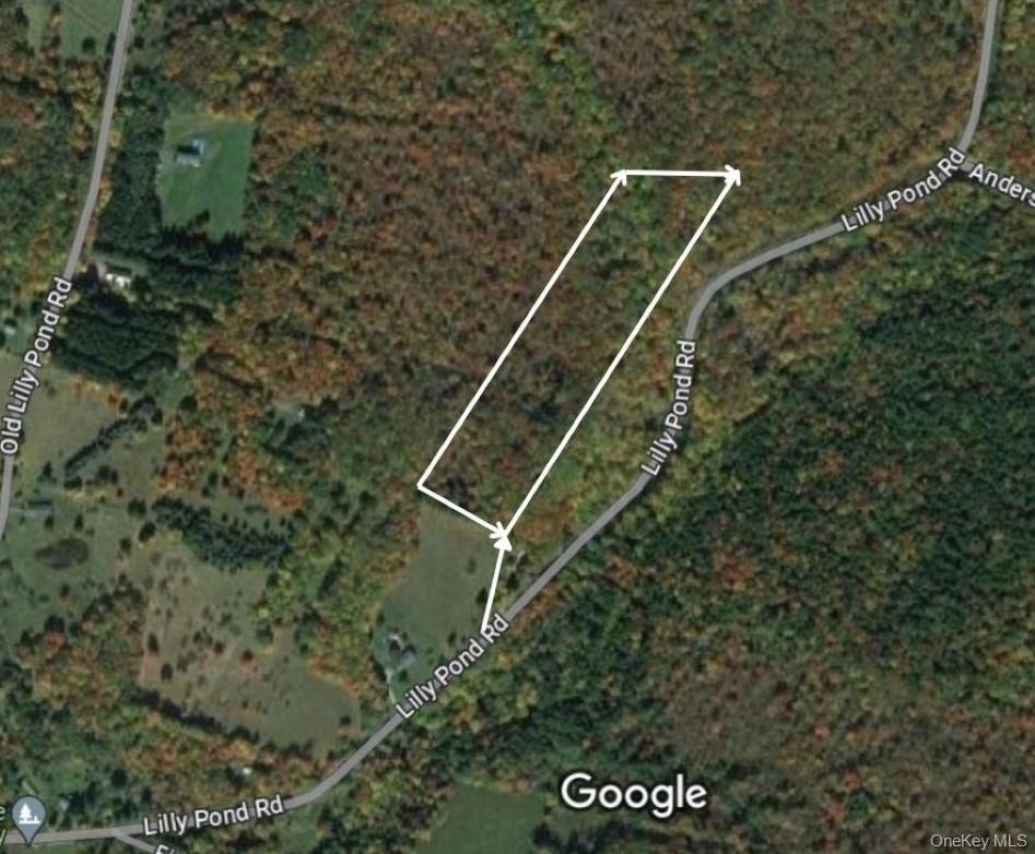 Lily Pond Road Property Photo 1