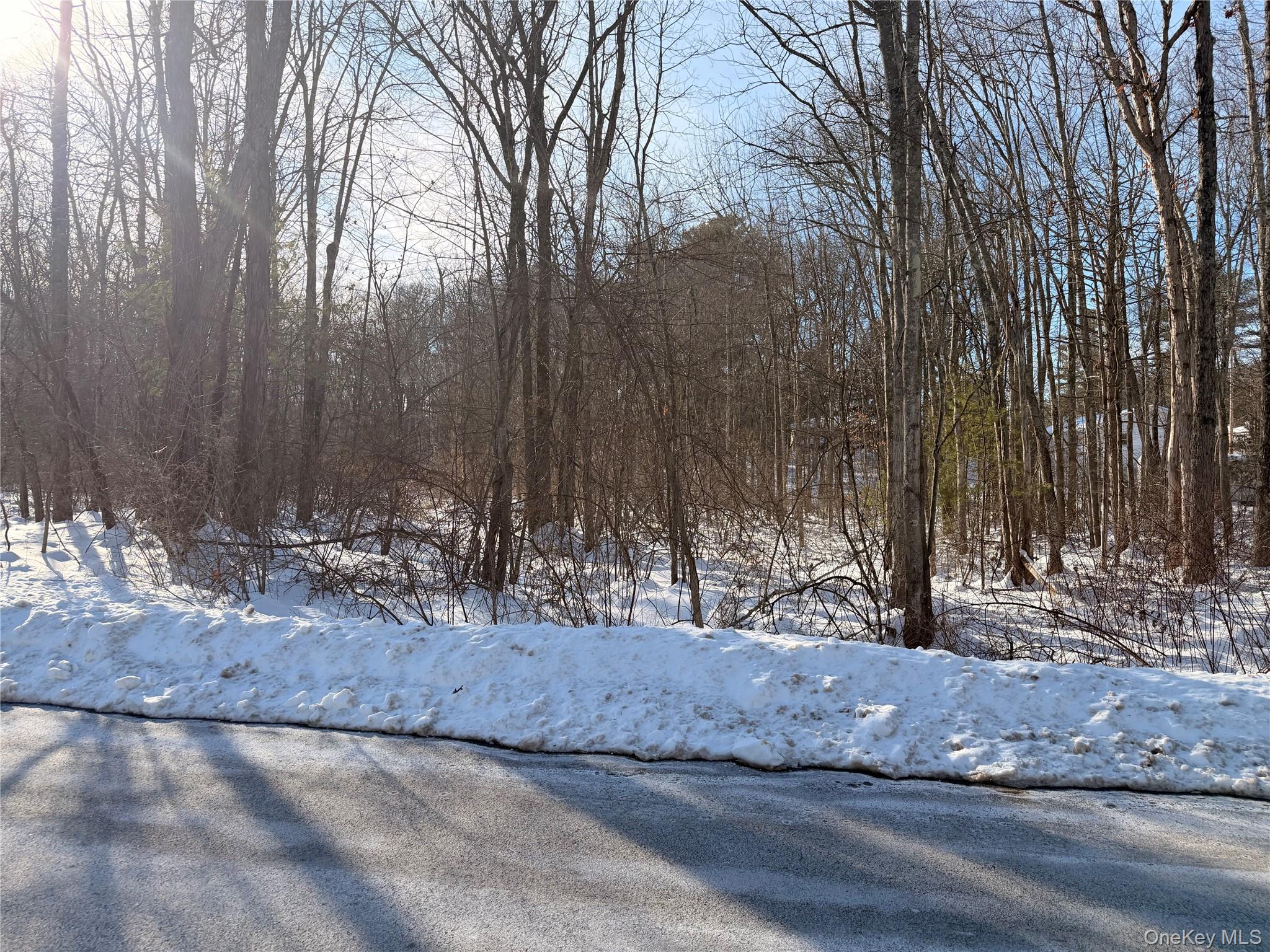 11 White Birch Road Property Photo 5
