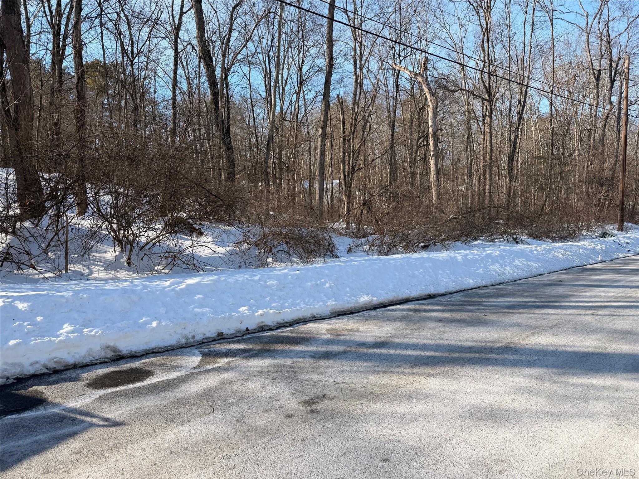 11 White Birch Road Property Photo 6
