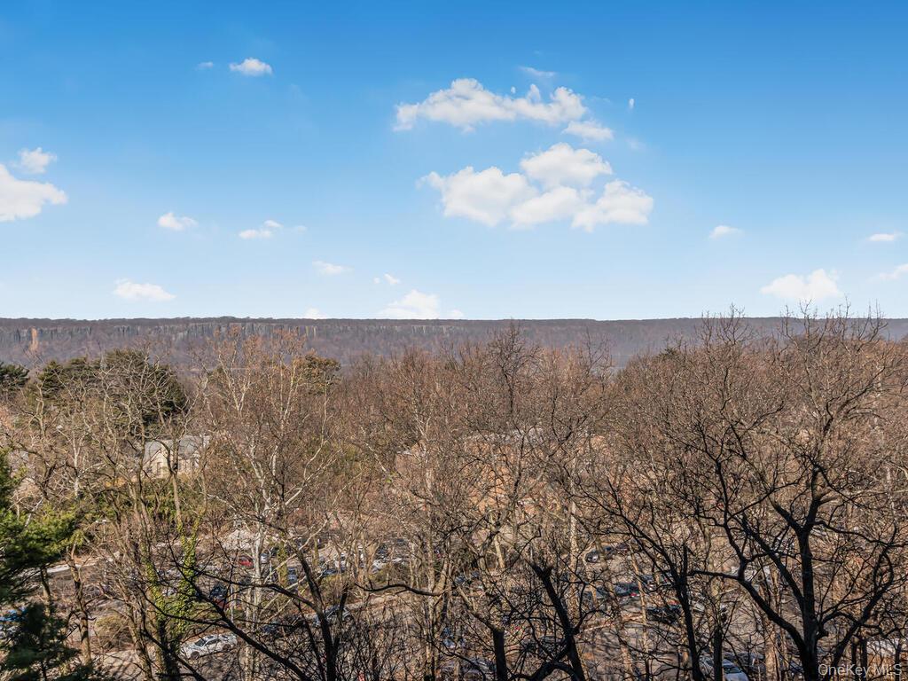 3935 Blackstone Avenue 8a Property Photo 17