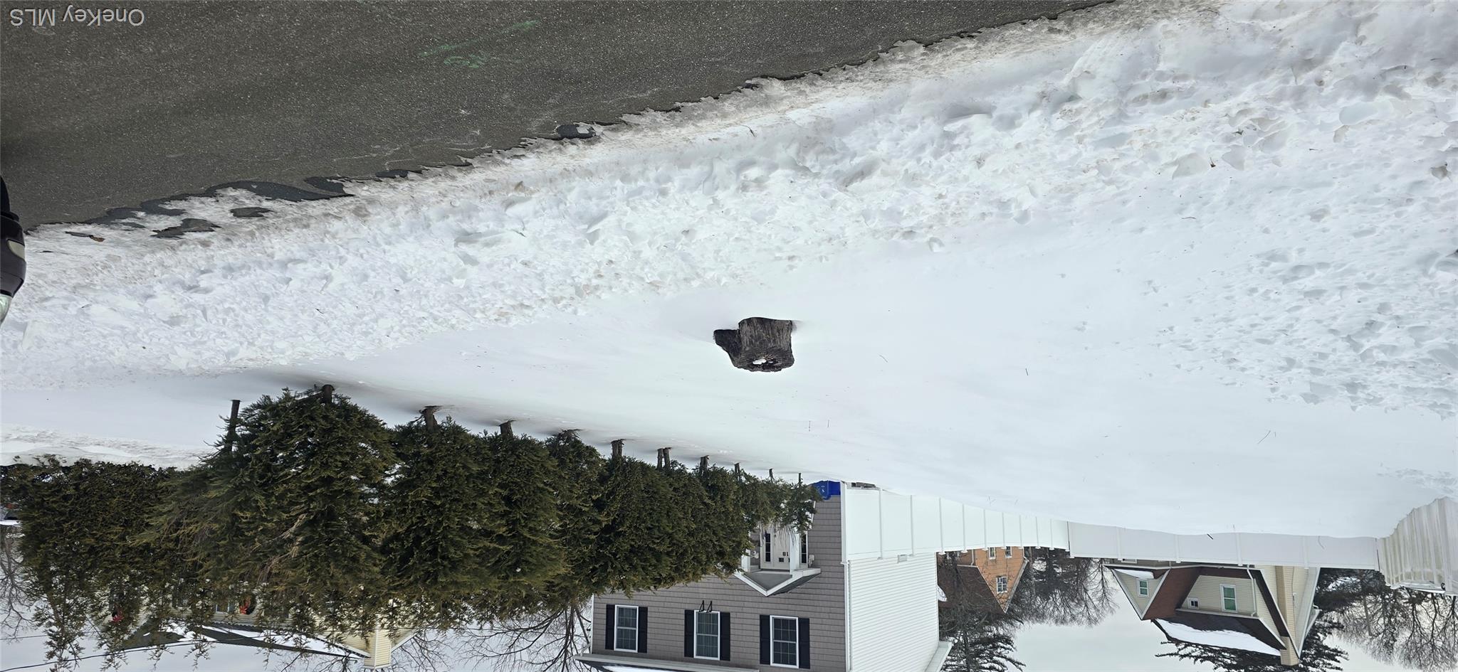 20 Chestnut Street Property Photo 1