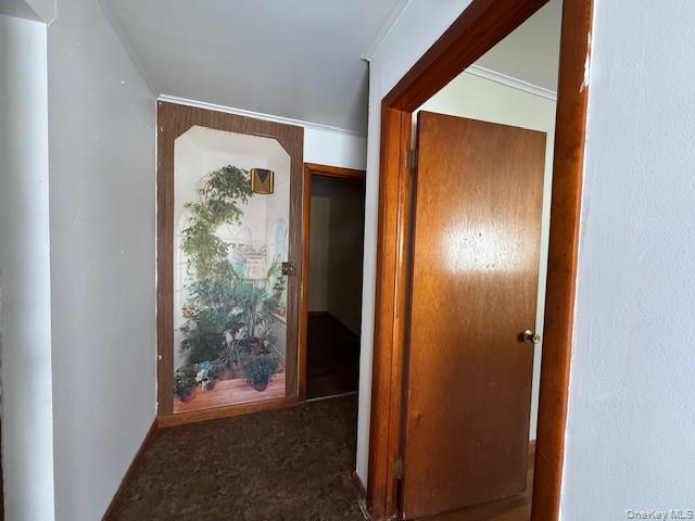 7 Christopher Avenue Property Photo 8