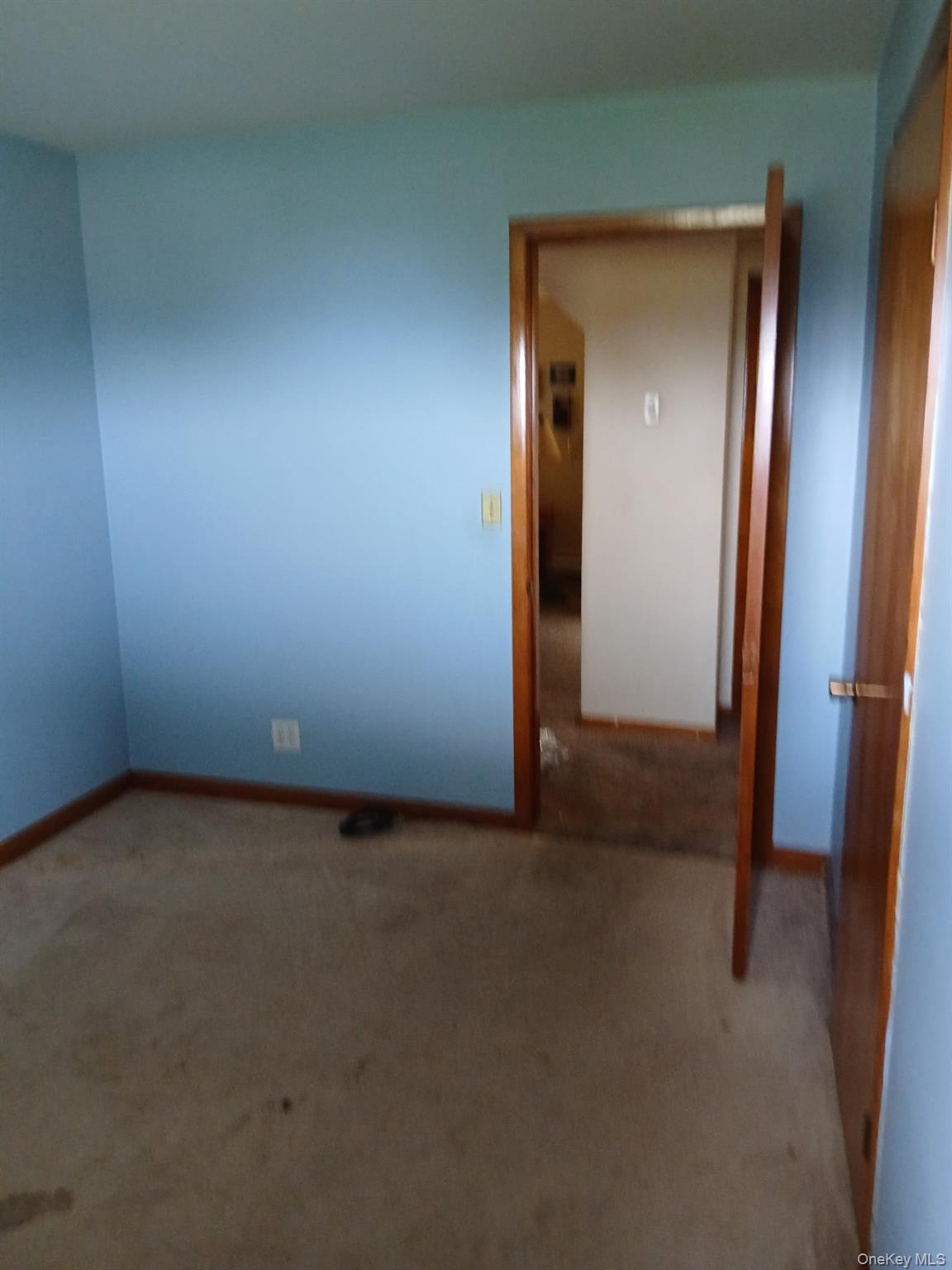 51 Orchard Street Property Photo 9
