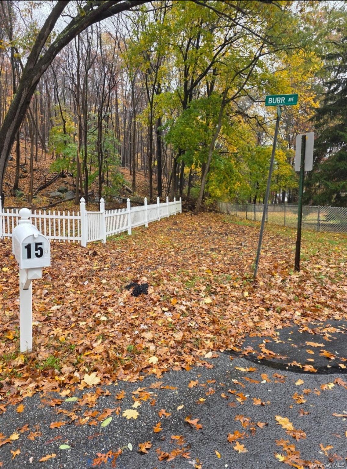 Louise Lane Property Photo 6