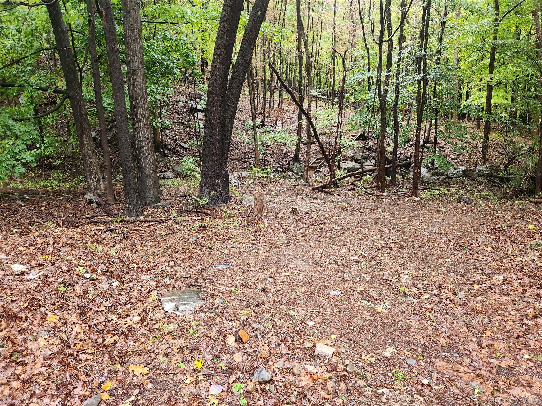 Louise Lane Property Photo 22