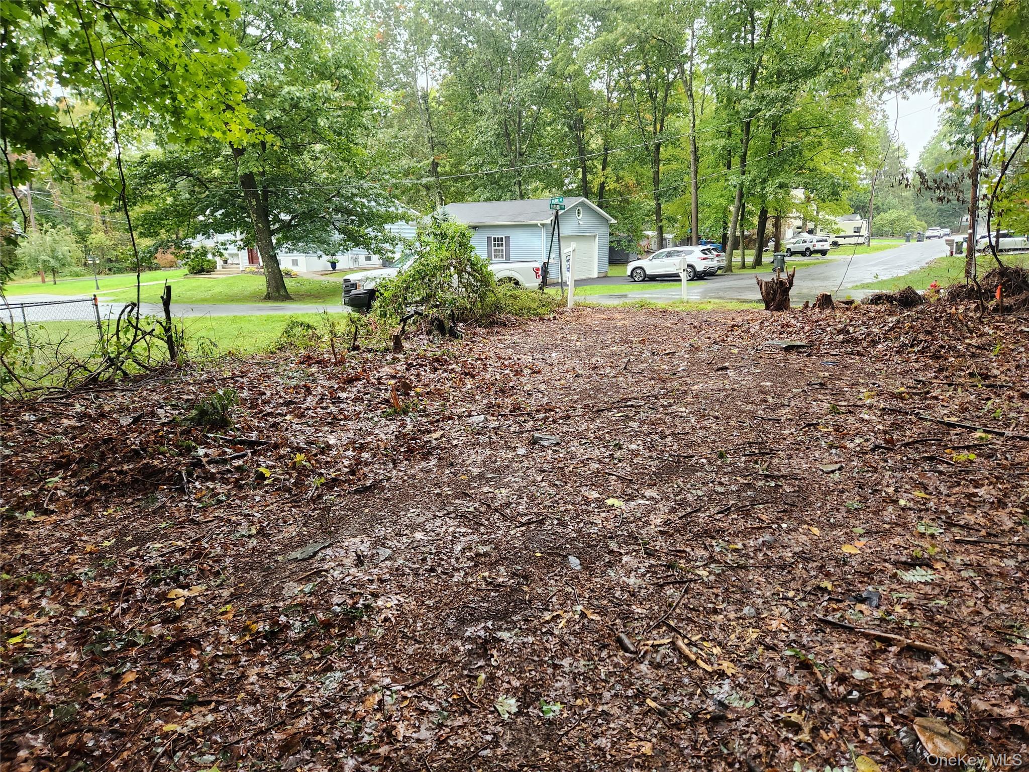 Louise Lane Property Photo 23