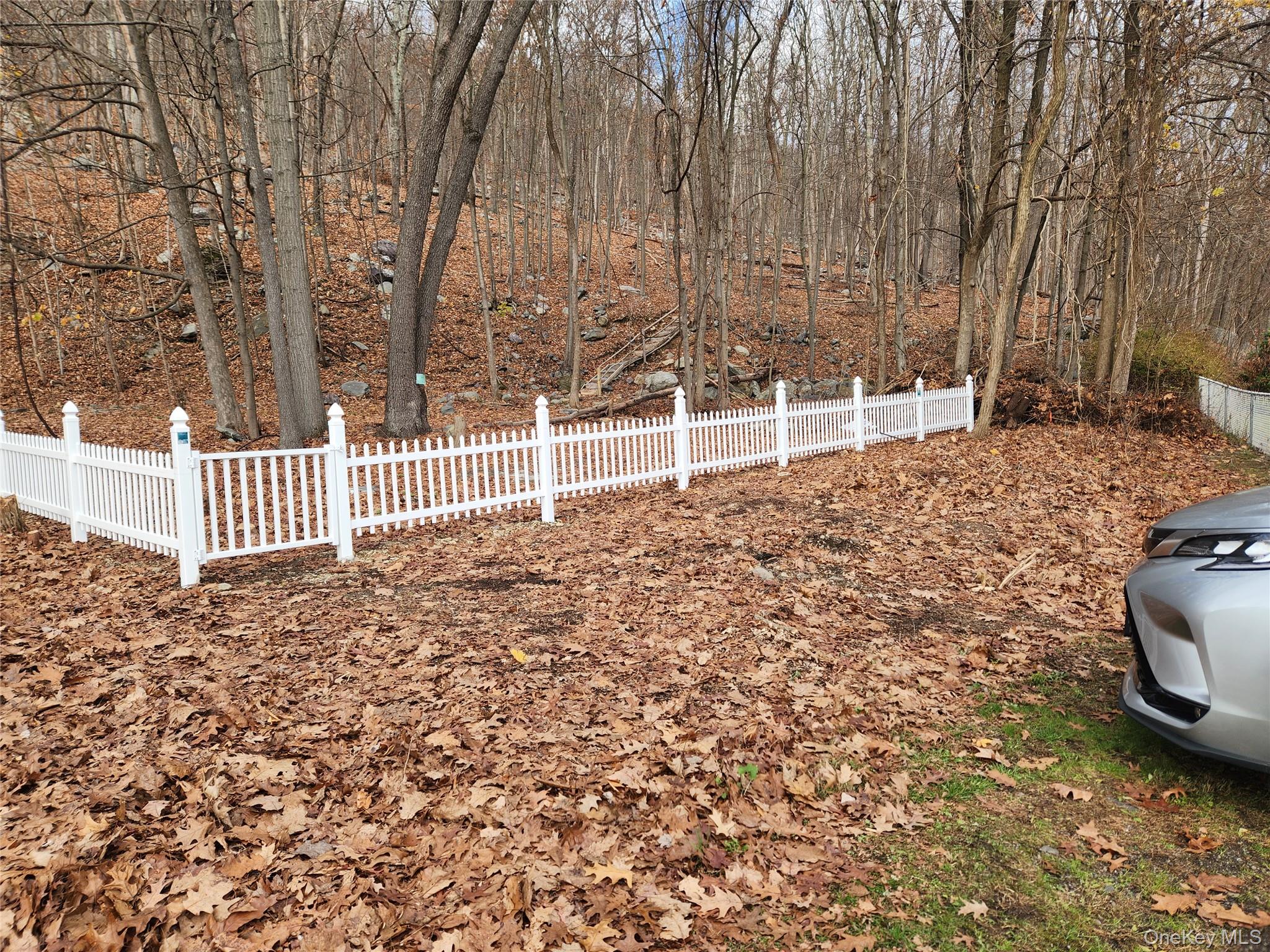 Louise Lane Property Photo 24