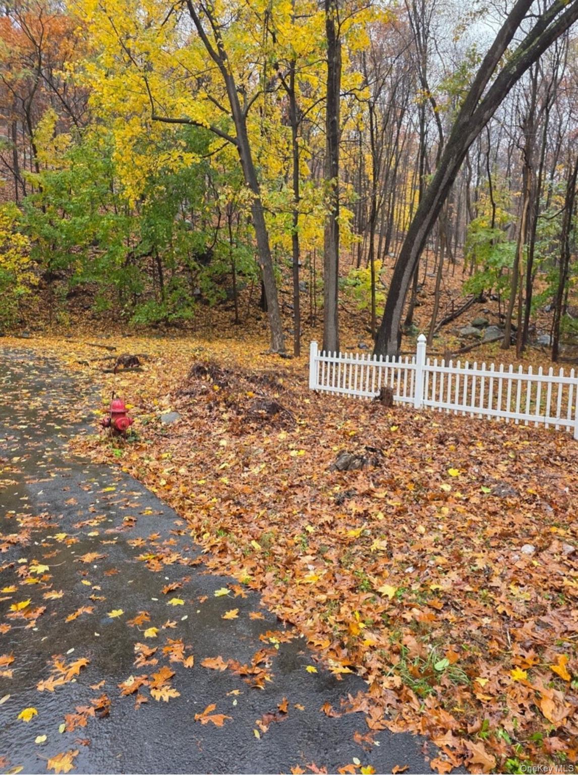 Louise Lane Property Photo 30