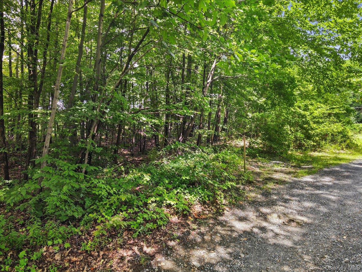 Beckrick Drive Property Photo 1