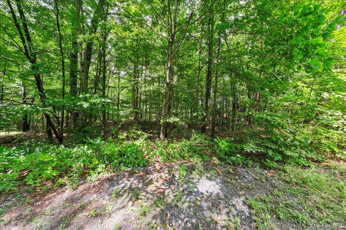 Beckrick Drive Property Photo 7