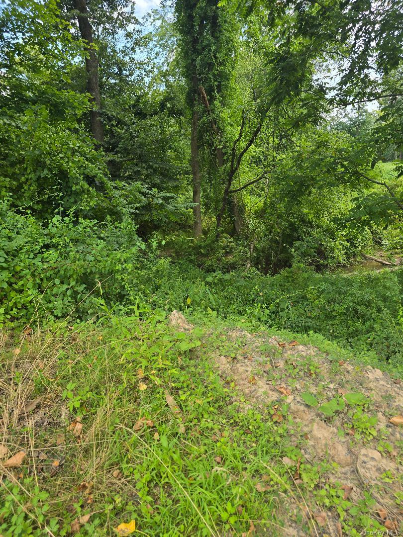 6437 Route 209 Property Photo 28