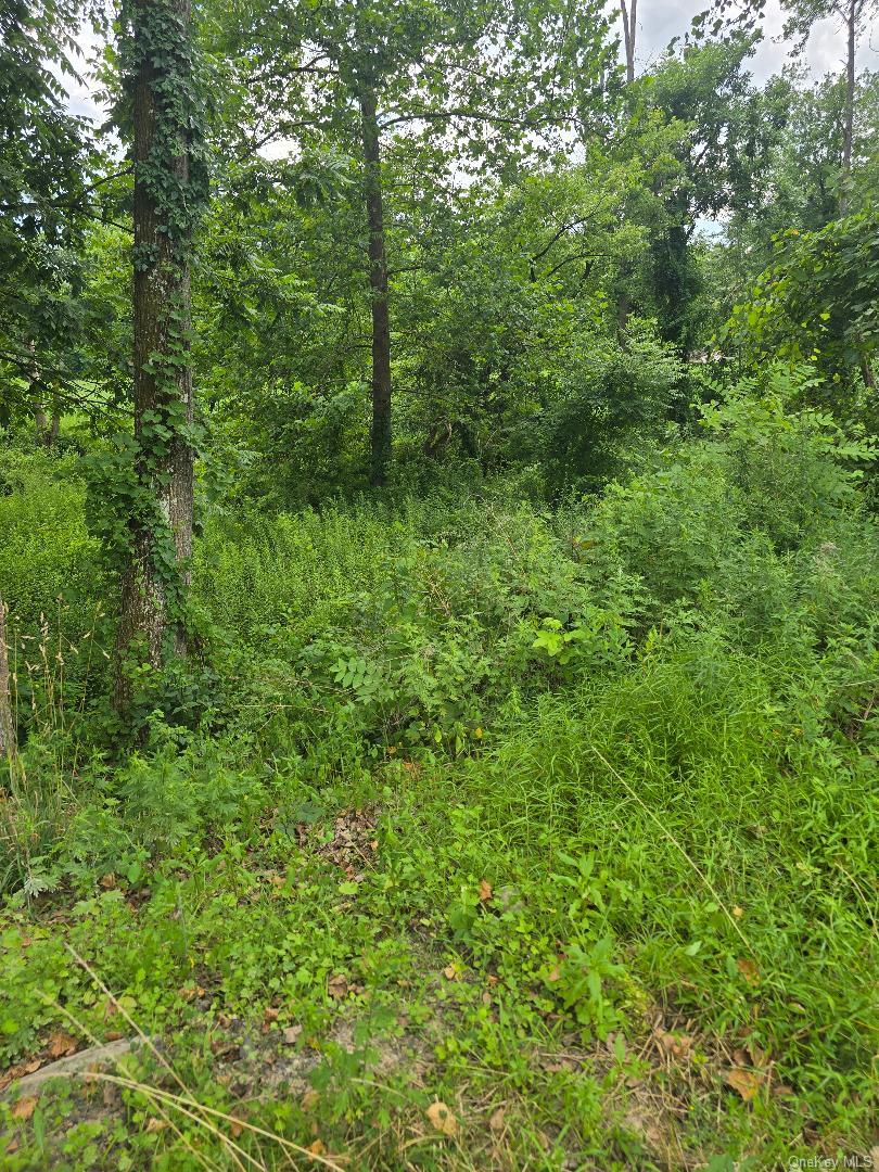 6437 Route 209 Property Photo 29