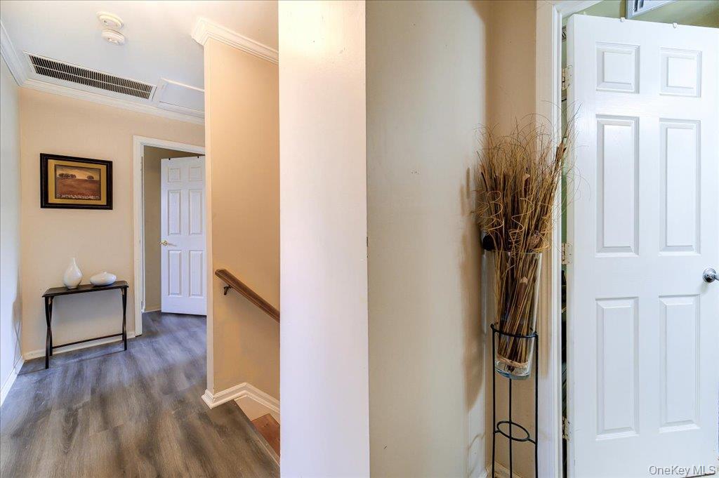 3 Emory Road Property Photo 19