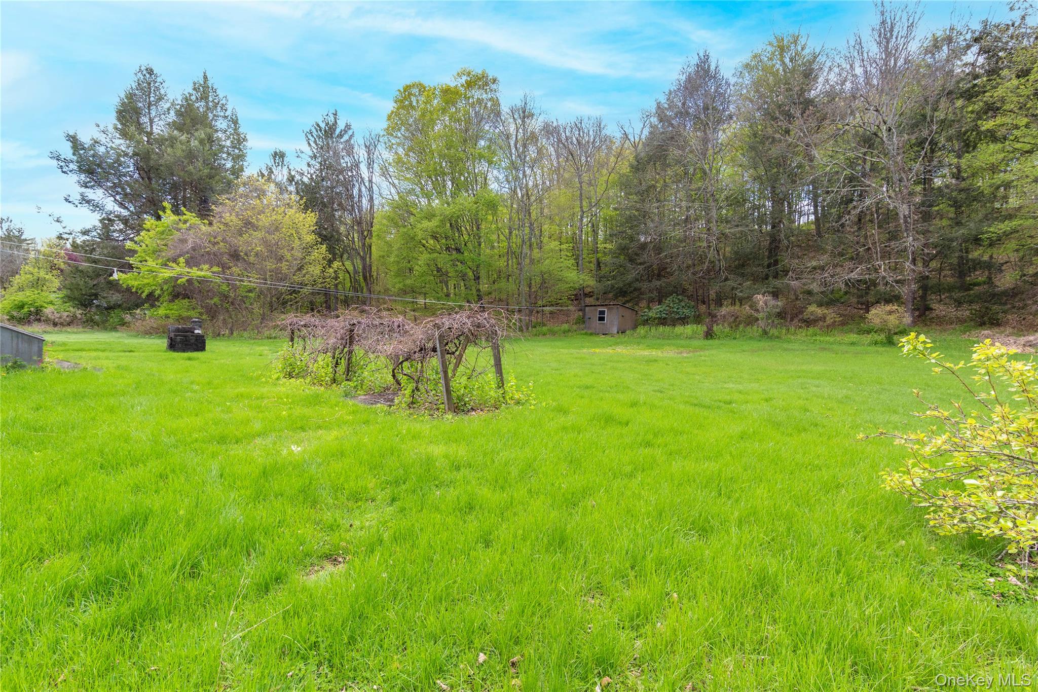 113 Dog Tail Corners Road Property Photo 3