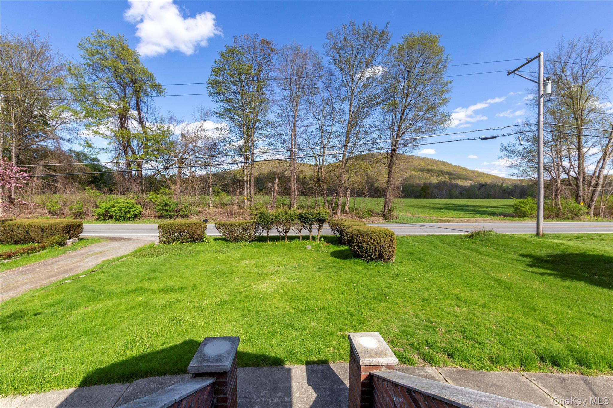 113 Dog Tail Corners Road Property Photo 4