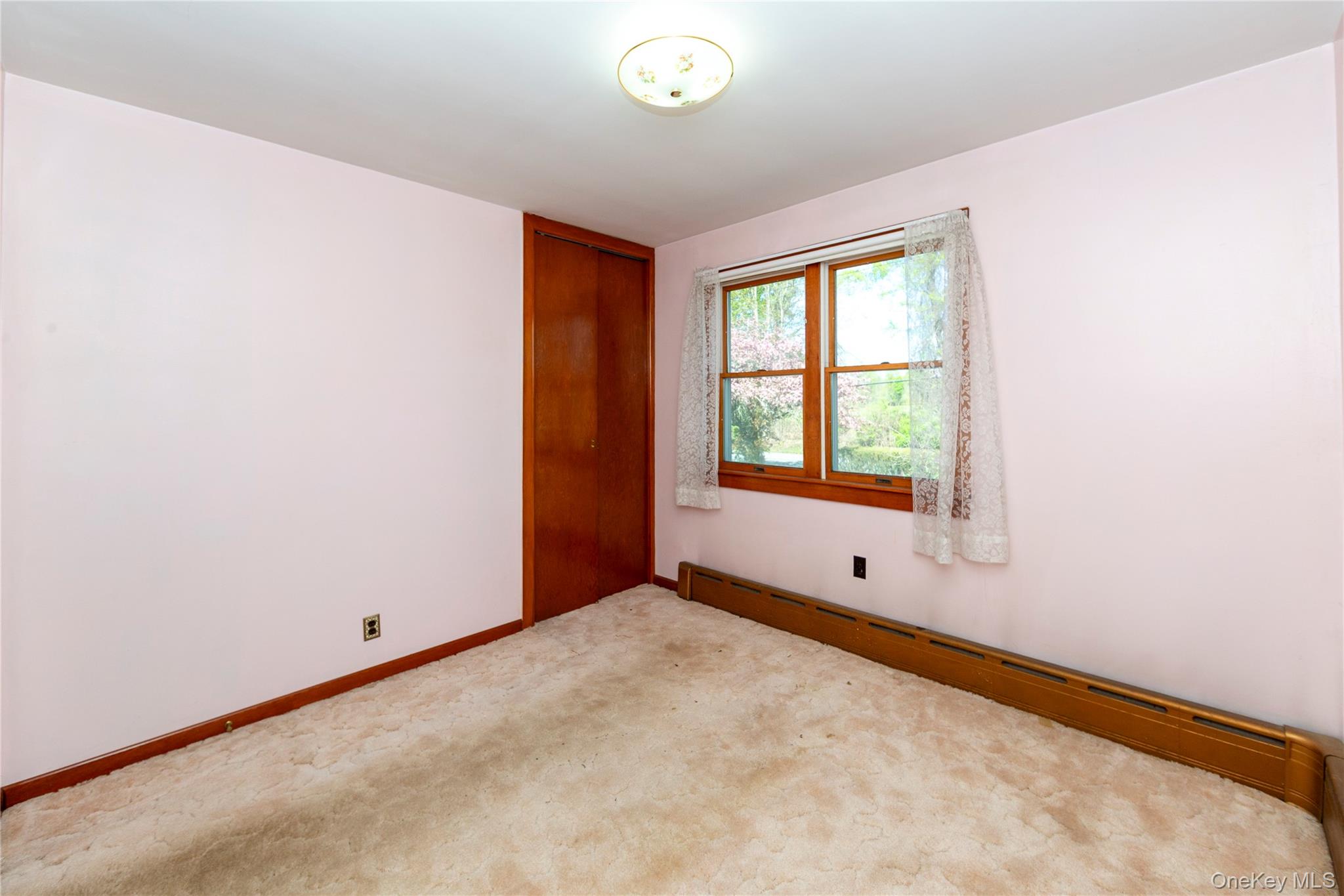 113 Dog Tail Corners Road Property Photo 19