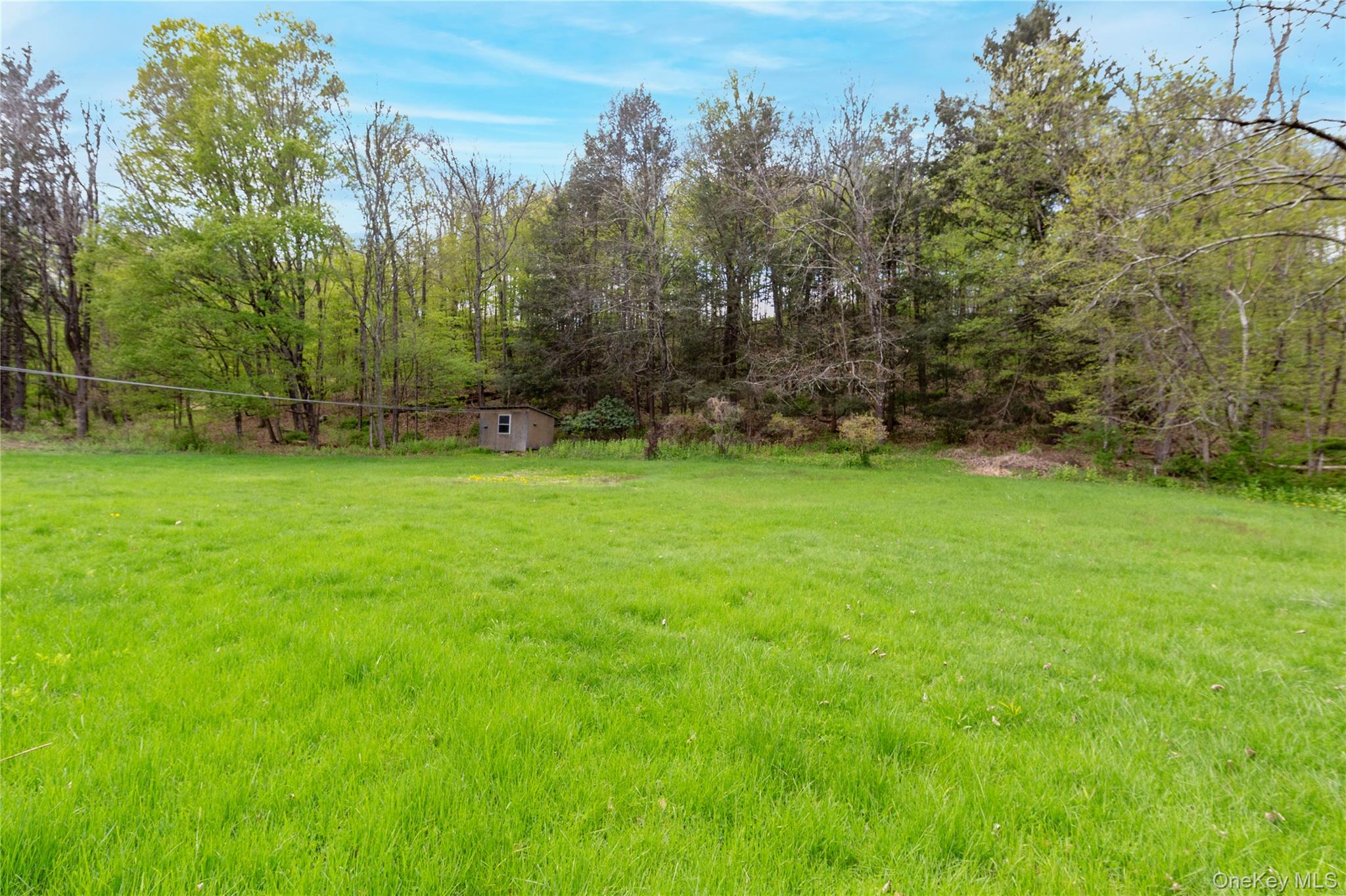 113 Dog Tail Corners Road Property Photo 31