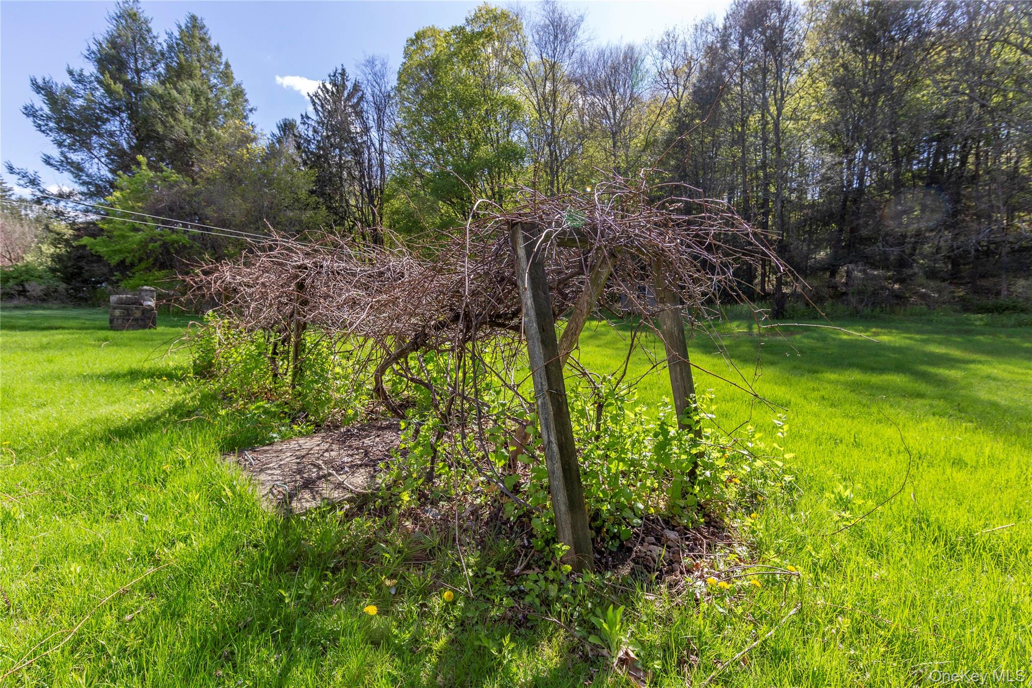 113 Dog Tail Corners Road Property Photo 32