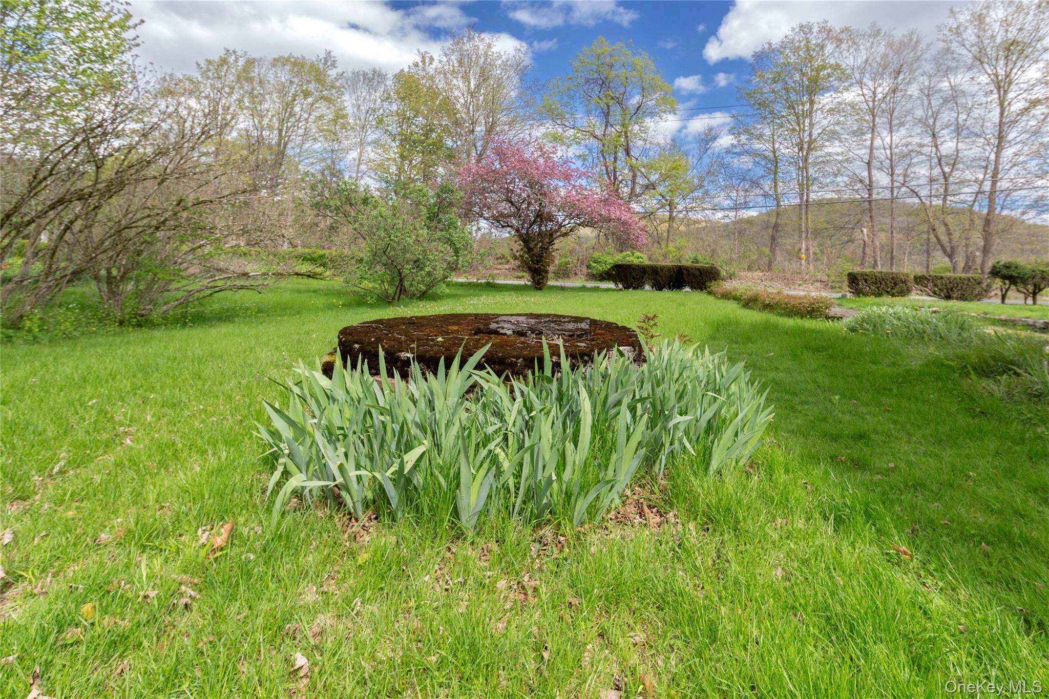 113 Dog Tail Corners Road Property Photo 33