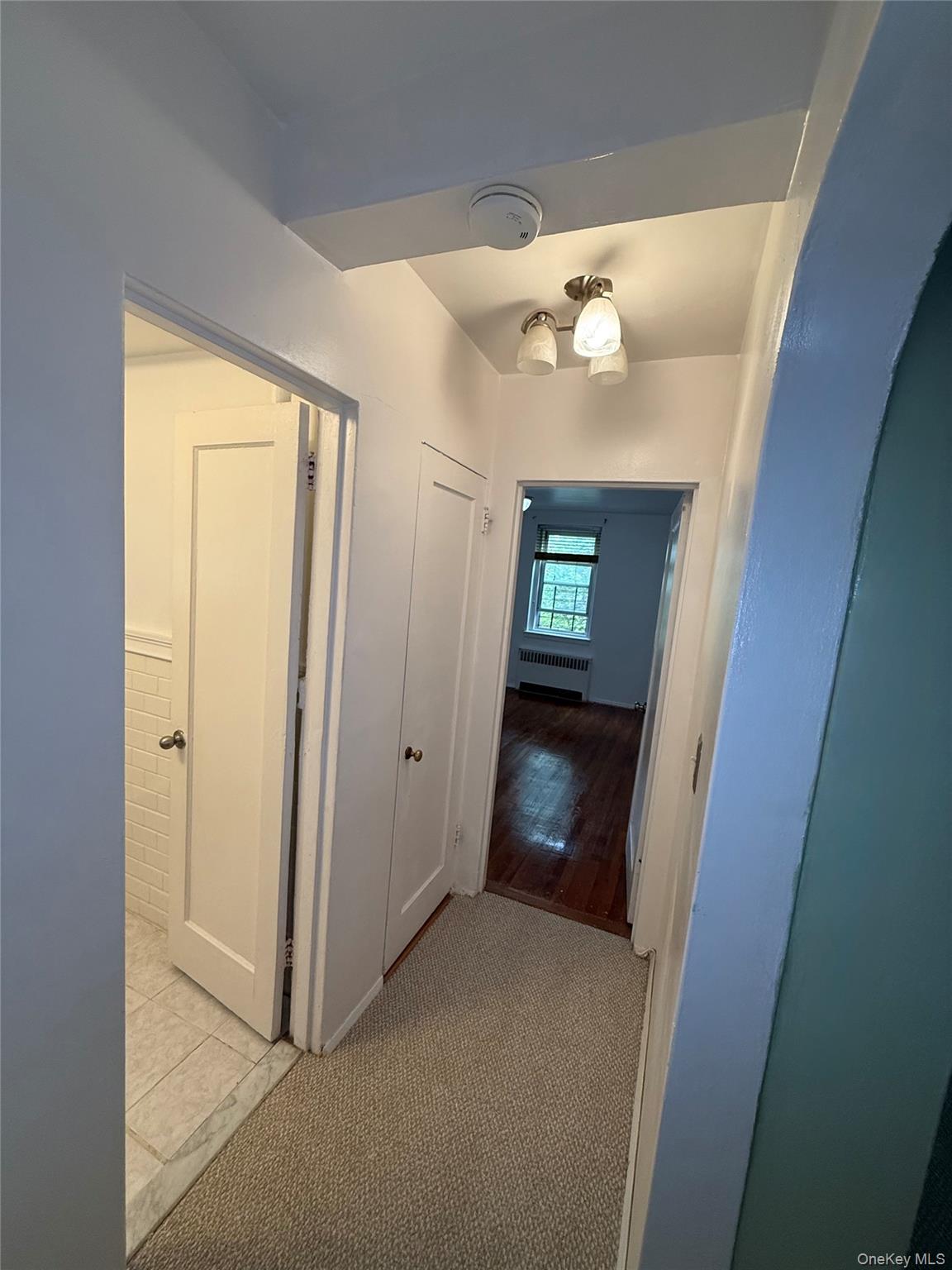 765 Bronx River 3f Property Photo 24