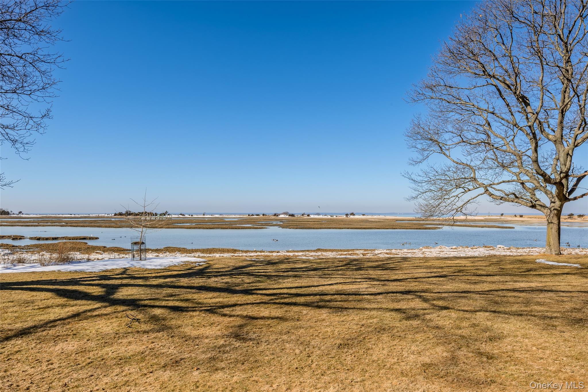 5 Shore Drive Property Photo 5