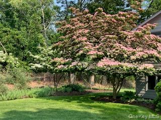 5 Shore Drive Property Photo 35