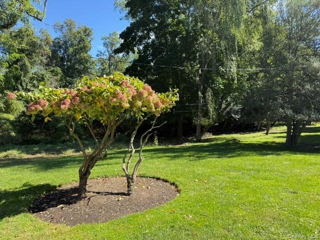 5 Shore Drive Property Photo 39